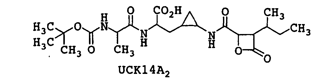 Figure 00040002