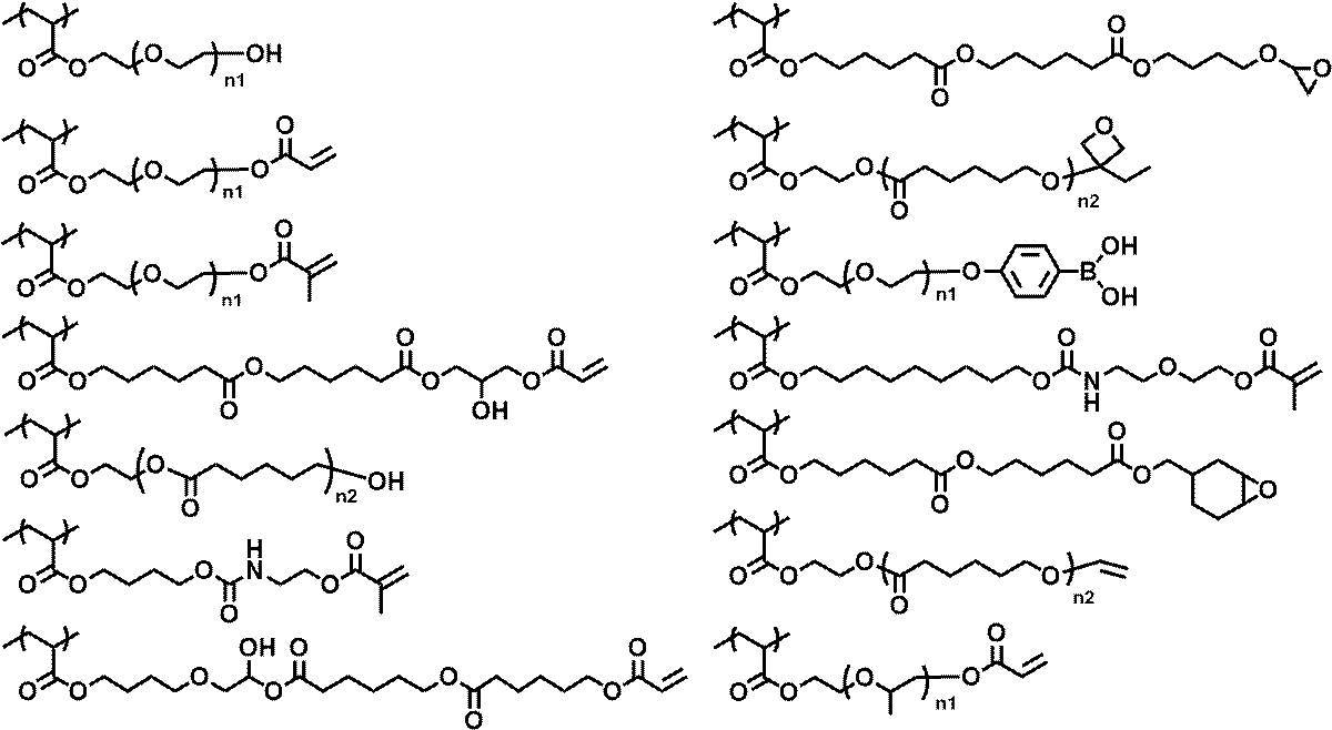 Figure JPOXMLDOC01-appb-C000032