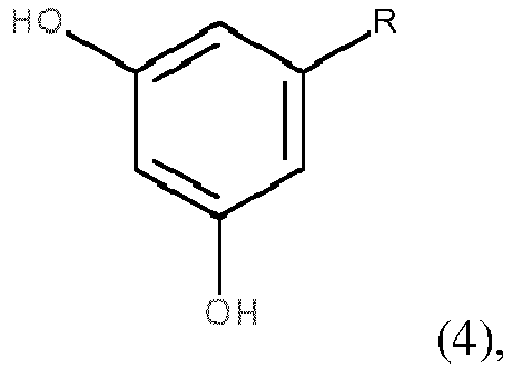 Figure imgb0004