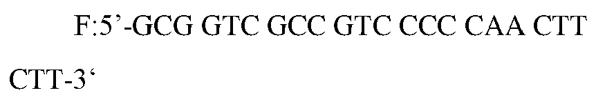 Figure imgb0026