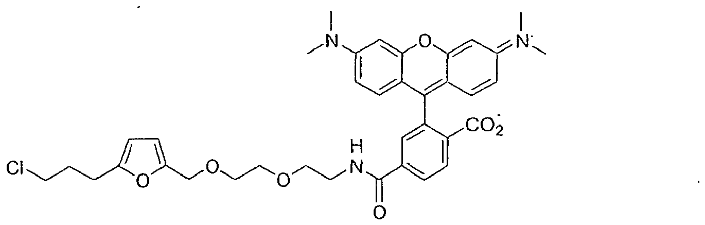 Figure imgb0033