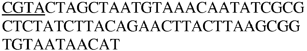 Figure imgb0236