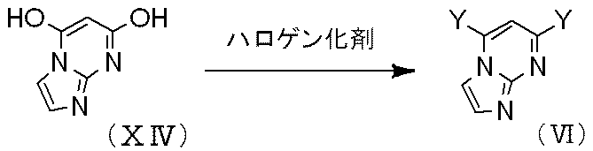 Figure JPOXMLDOC01-appb-C000023