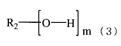 Figure JPOXMLDOC01-appb-C000008