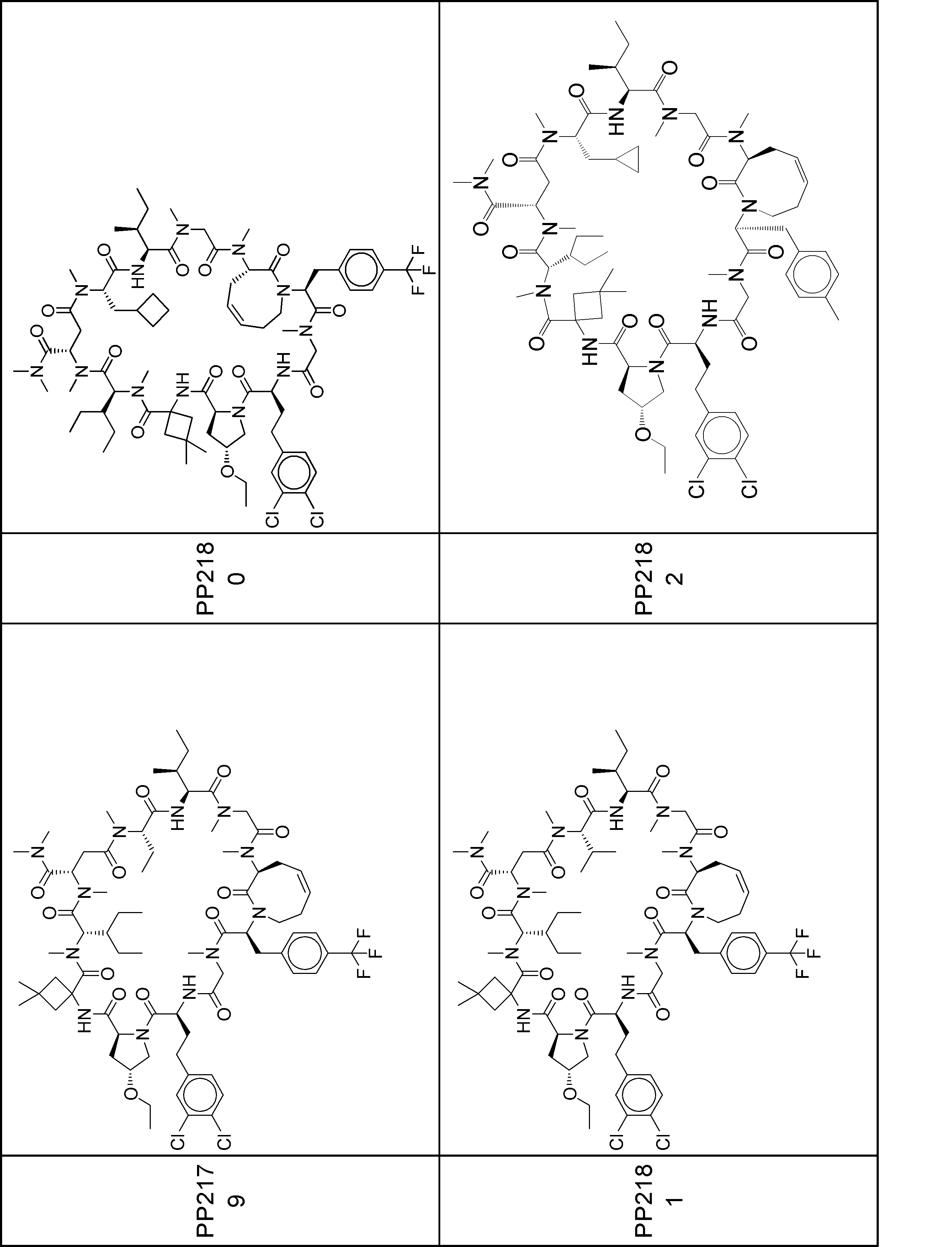 Figure JPOXMLDOC01-appb-I001017