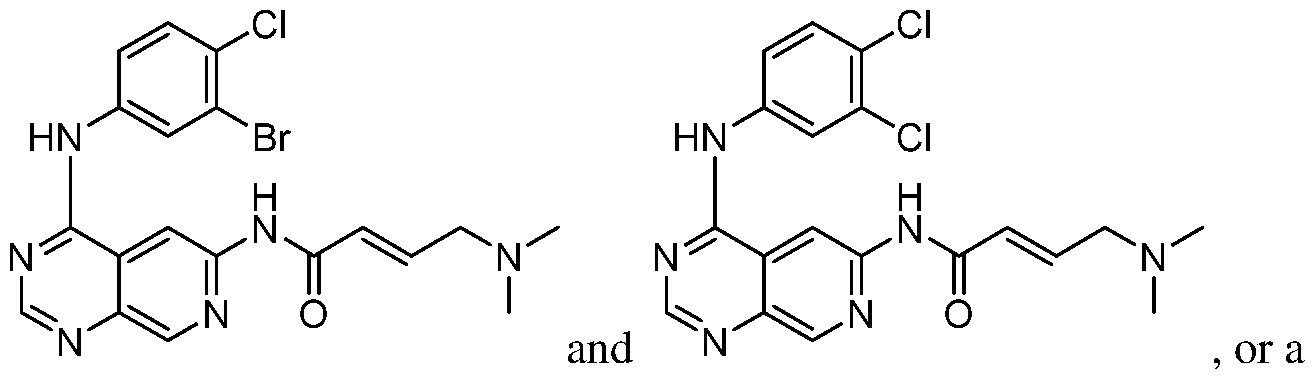 Figure imgf000012_0002