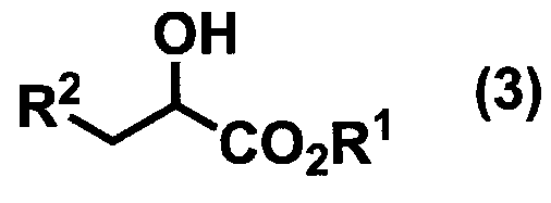 Figure JPOXMLDOC01-appb-C000003