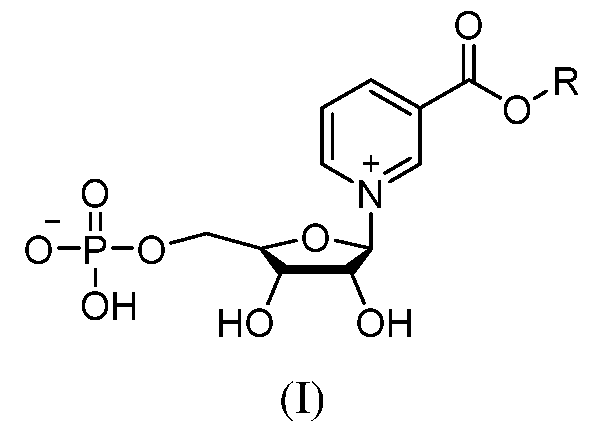 Figure imgf000003_0001