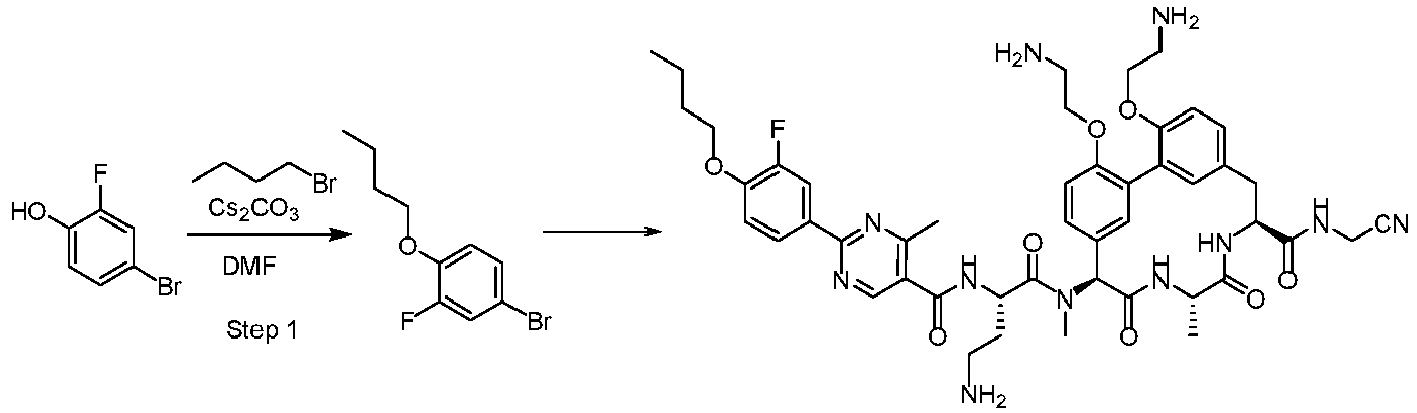 Figure imgb0571