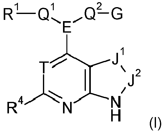 Figure imgb0163