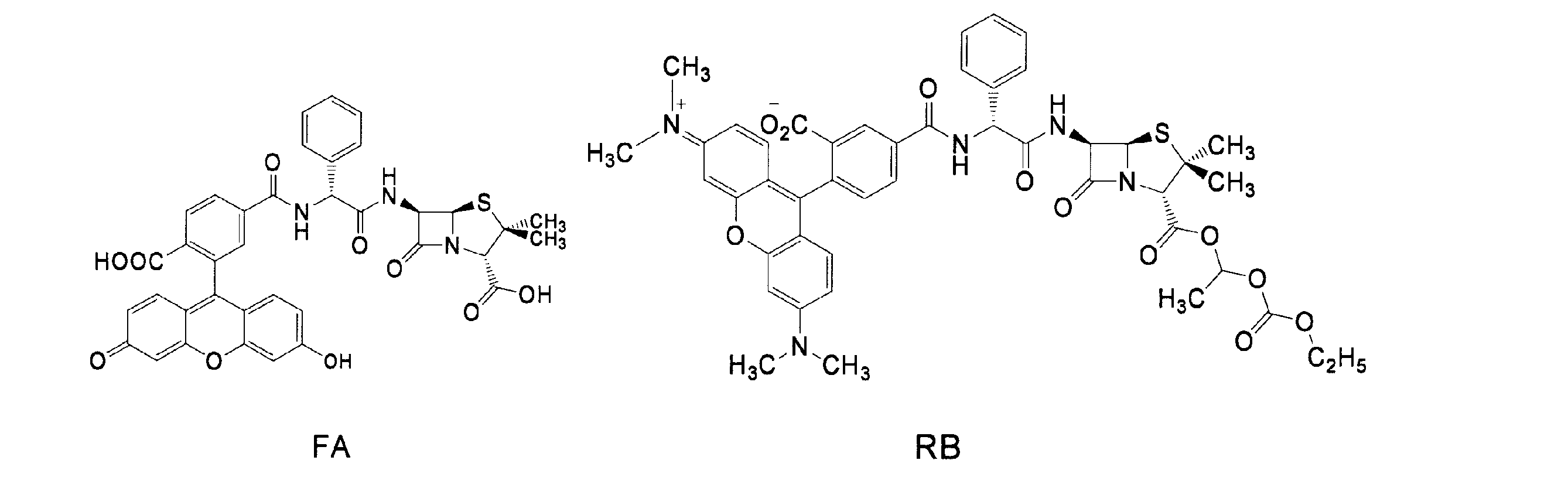 Figure JPOXMLDOC01-appb-C000025