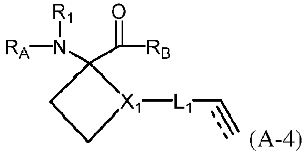 Figure imgb0170
