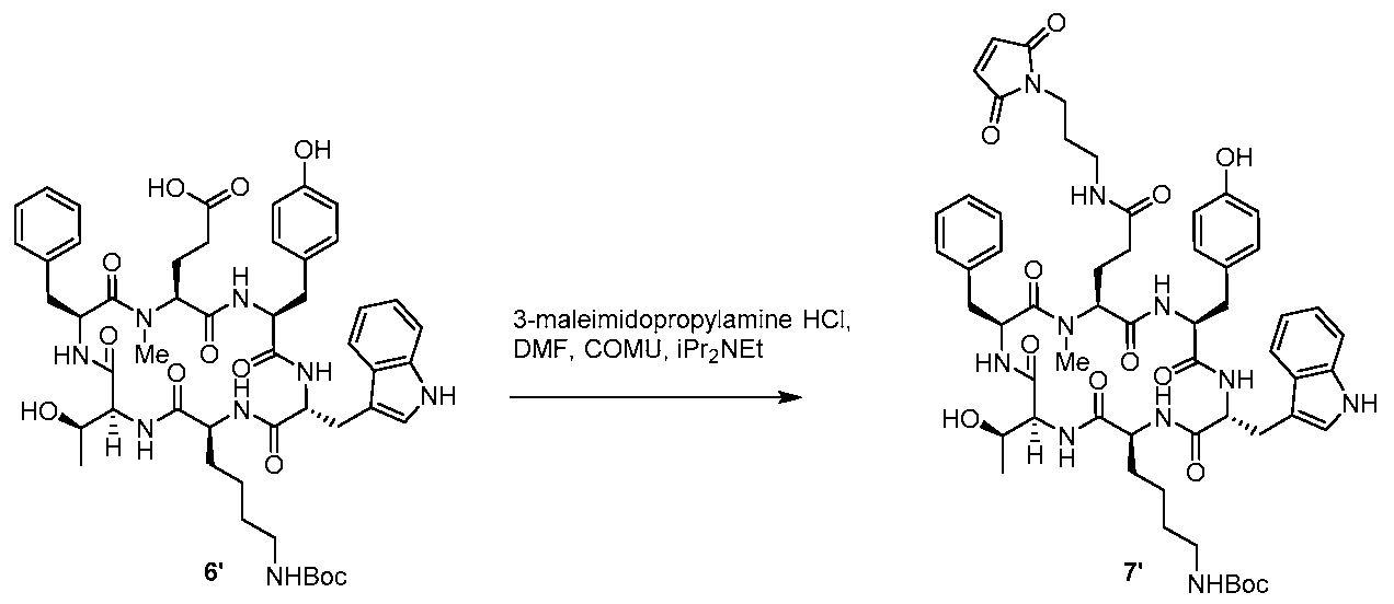 Figure imgf000141_0001