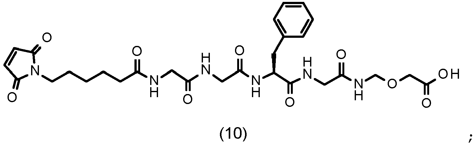 Figure imgb0205