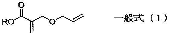 Figure JPOXMLDOC01-appb-C000003