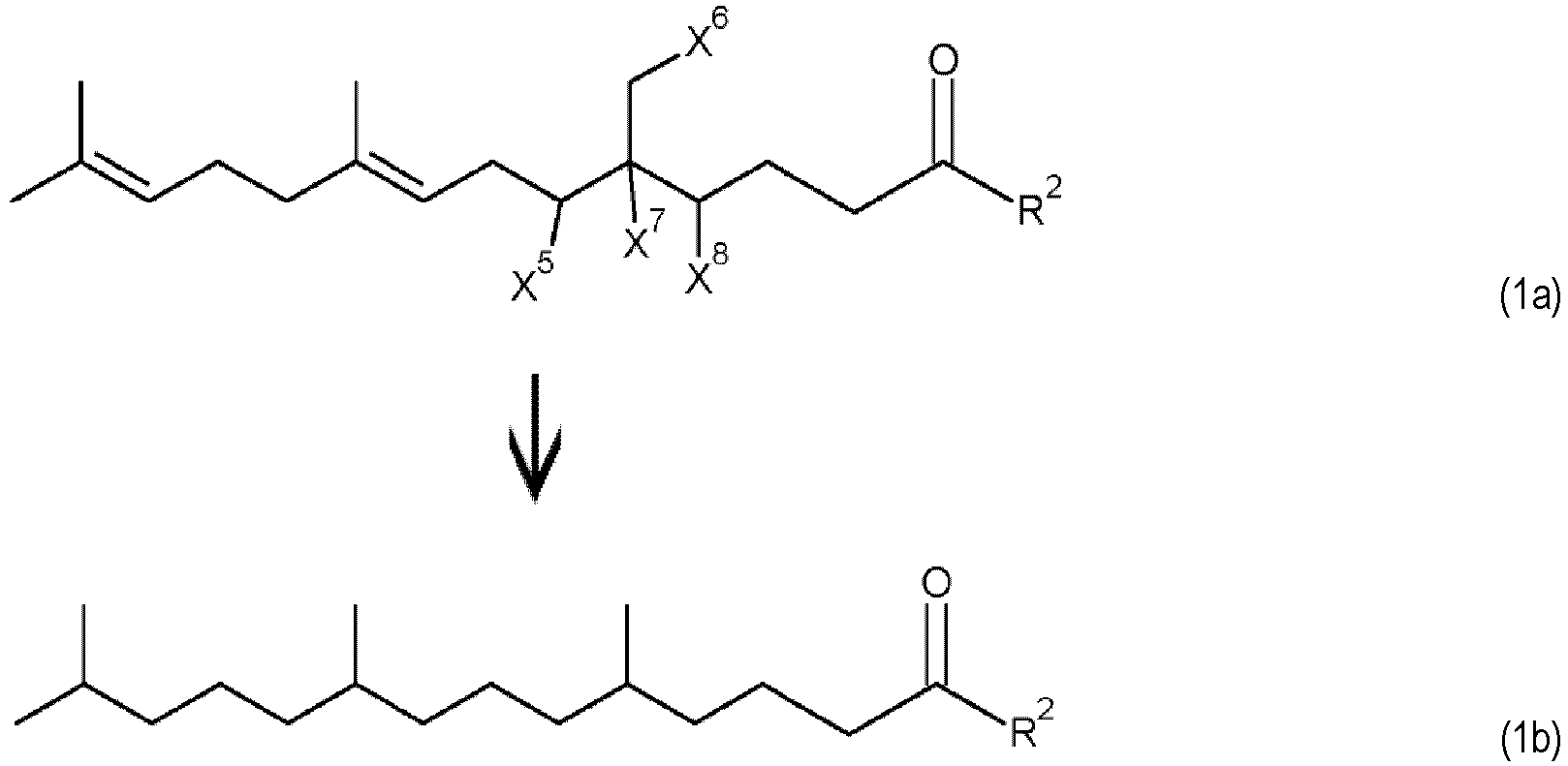 Figure imgb0022