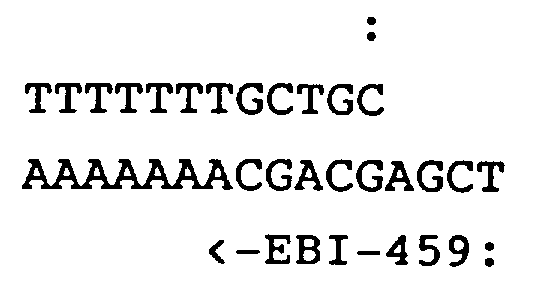 Figure imgb0016