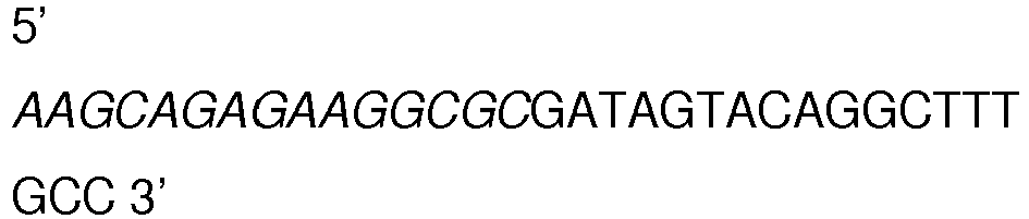 Figure imgb0004