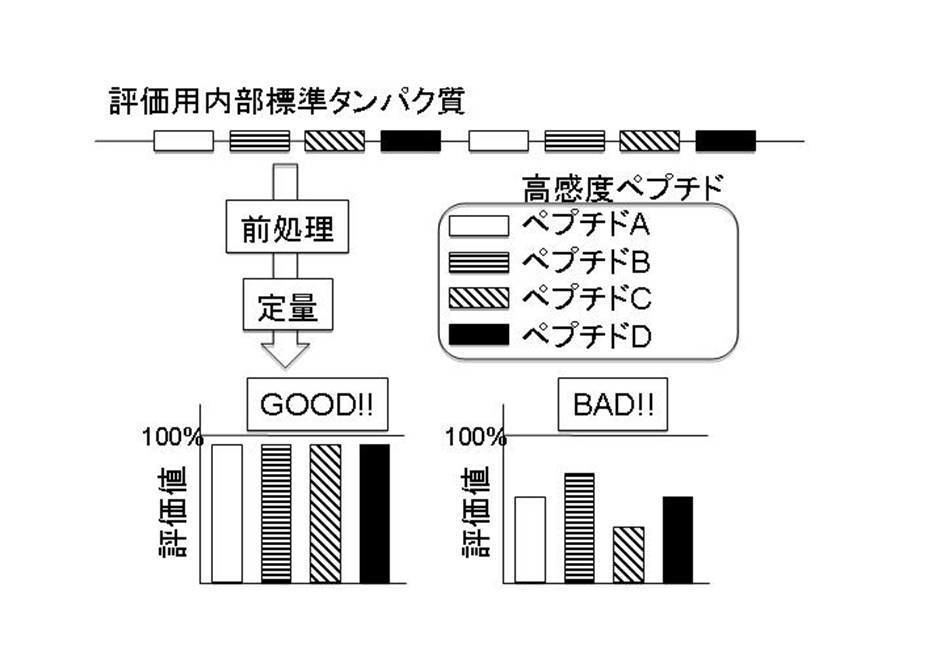 Wo2010095365a1 質量分析装置を用いたタンパク質定量のための評価用ペプチド 人工標準タンパク質 及びタンパク質の定量方法 Google Patents