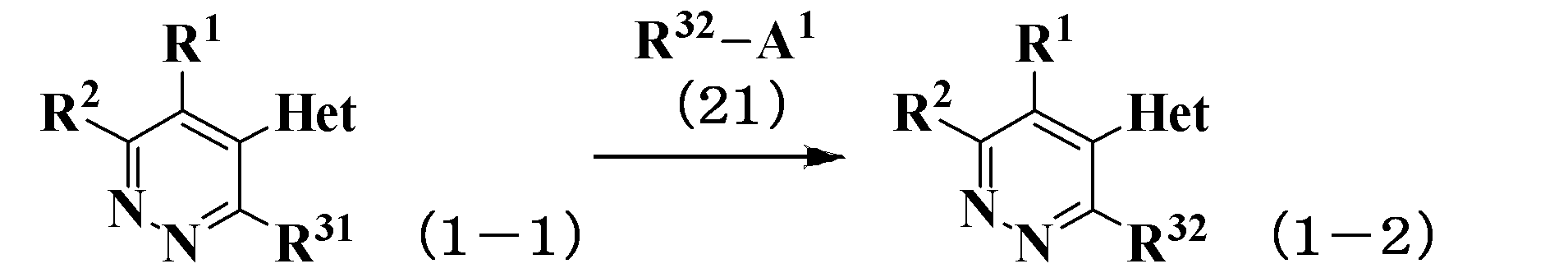 Figure JPOXMLDOC01-appb-C000018
