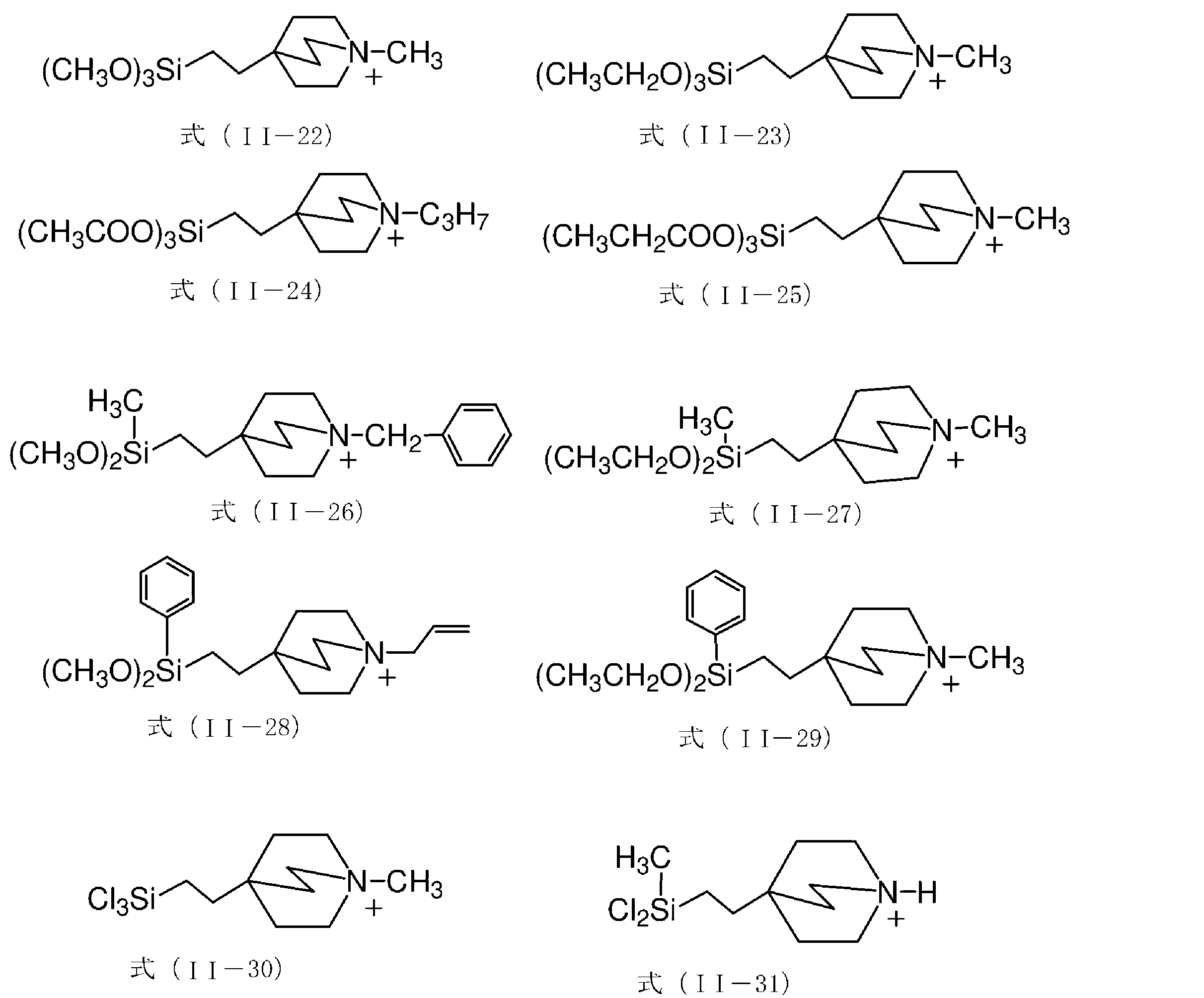 Figure JPOXMLDOC01-appb-C000030