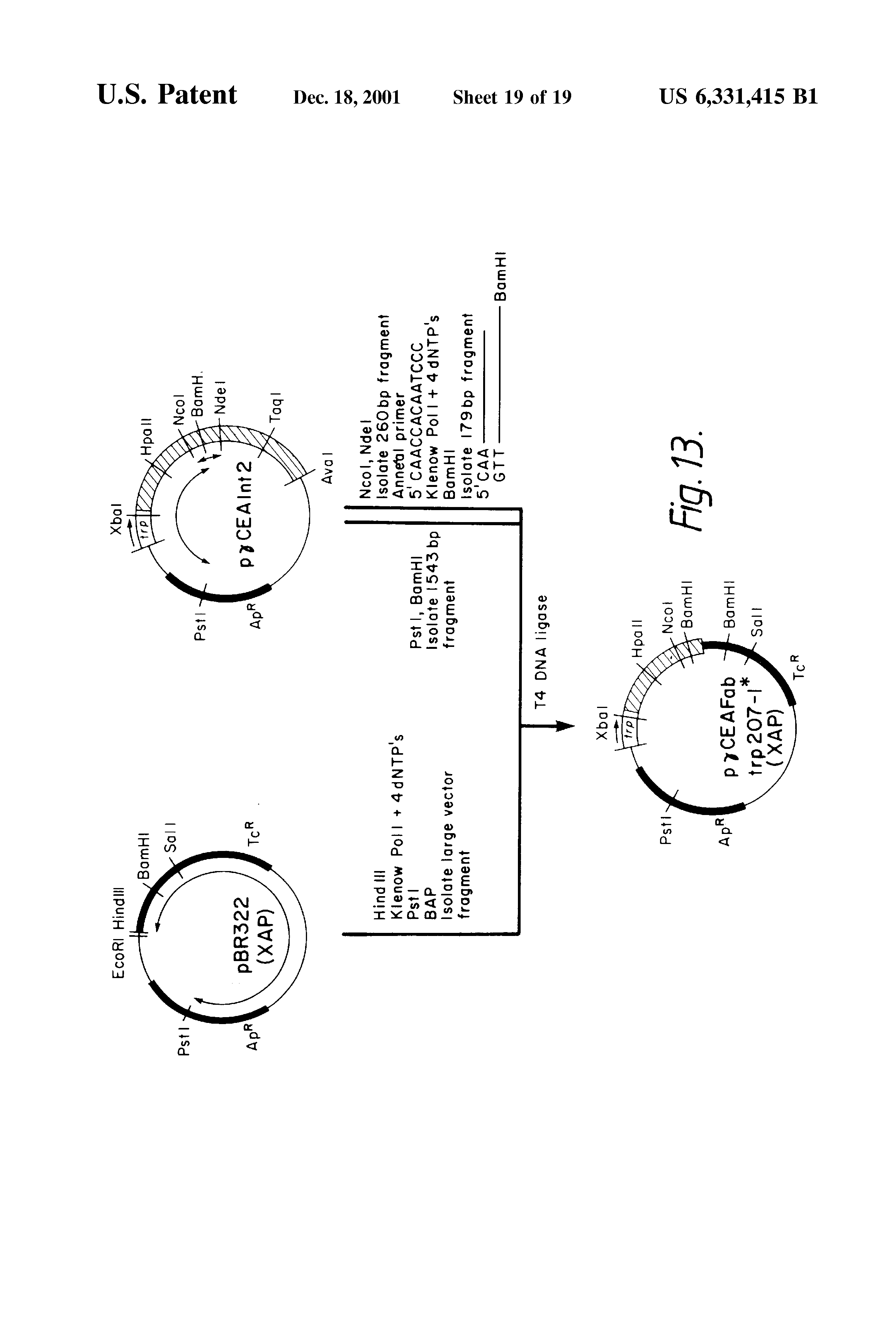 Cfs és prostatitis