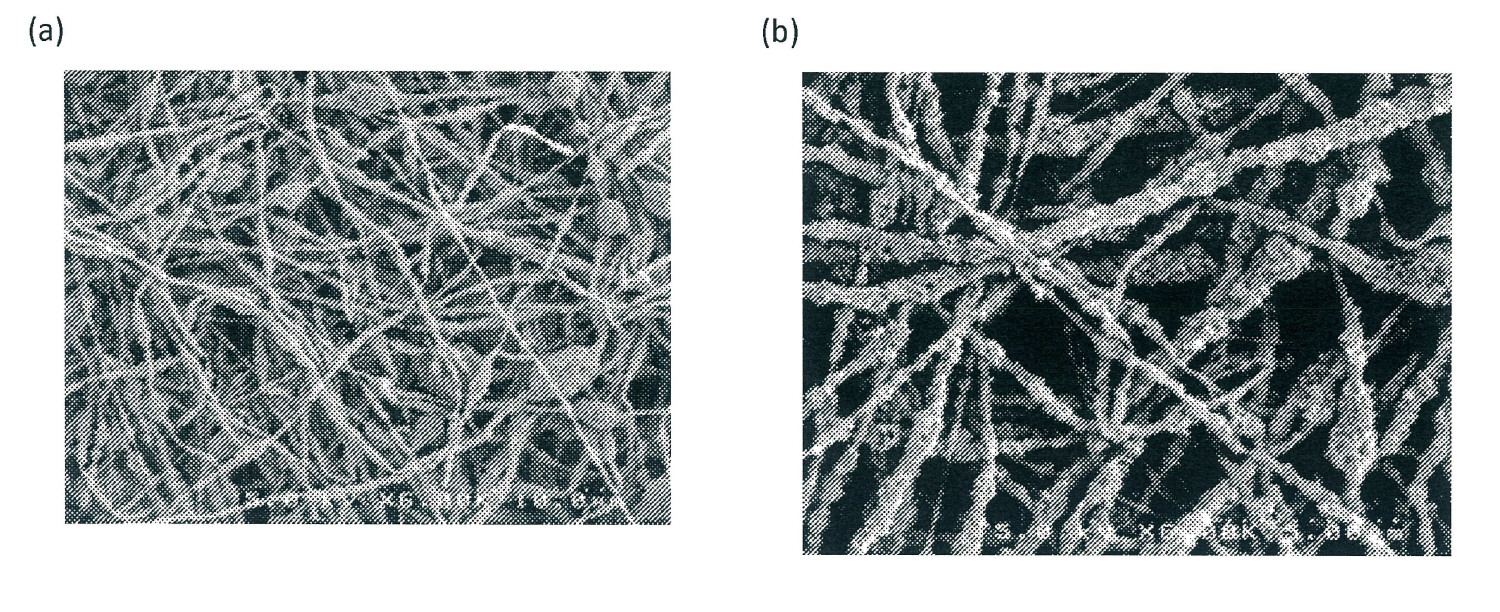 KR20170062487A - Polymer solution, fiber mat, and nanofiber membrane ...