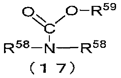 Figure JPOXMLDOC01-appb-C000026