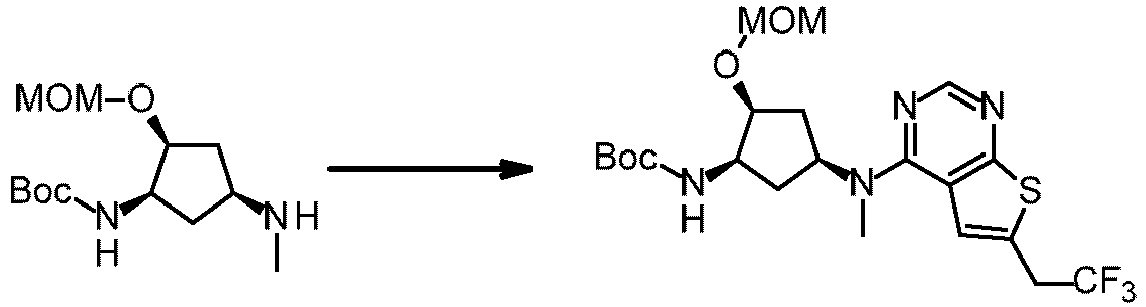 Figure imgb0304