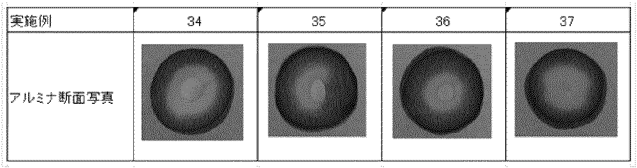 Figure JPOXMLDOC01-appb-T000103