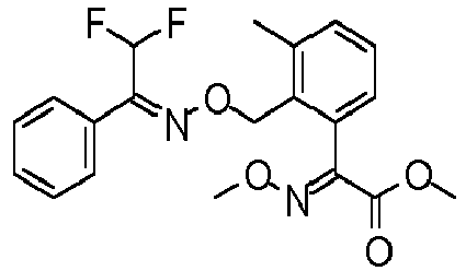 Figure imgb0555