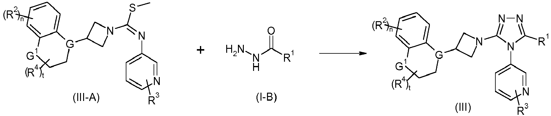 Figure imgb0081