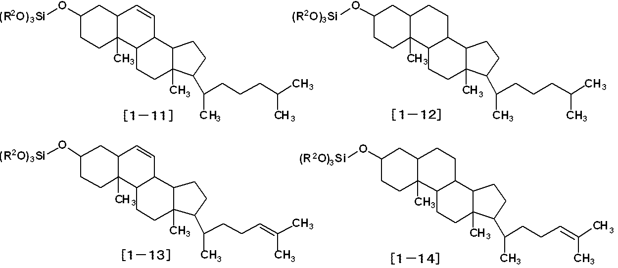 Figure JPOXMLDOC01-appb-C000049