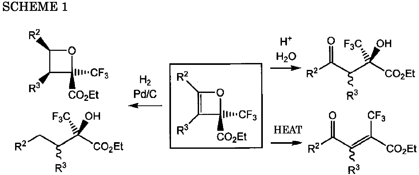 Figure imgb0019