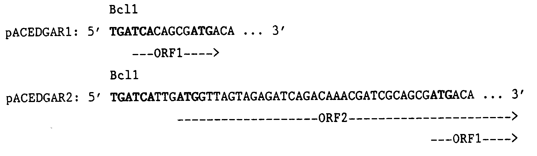 Figure 00410002