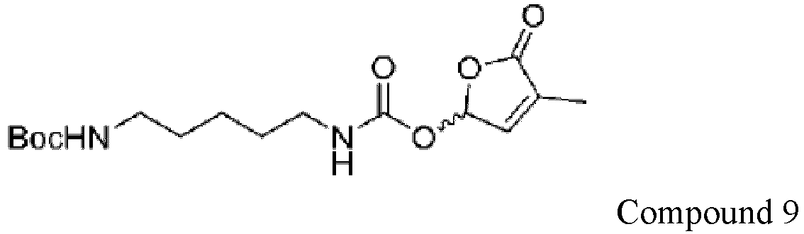 Figure imgb0013