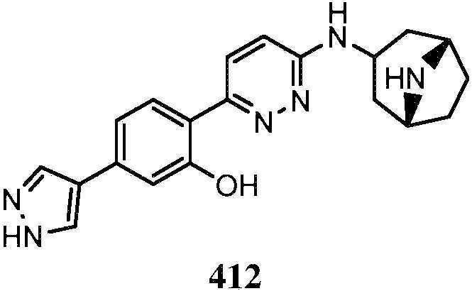 Figure pct00619