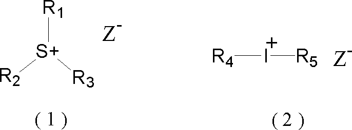 Figure JPOXMLDOC01-appb-C000011