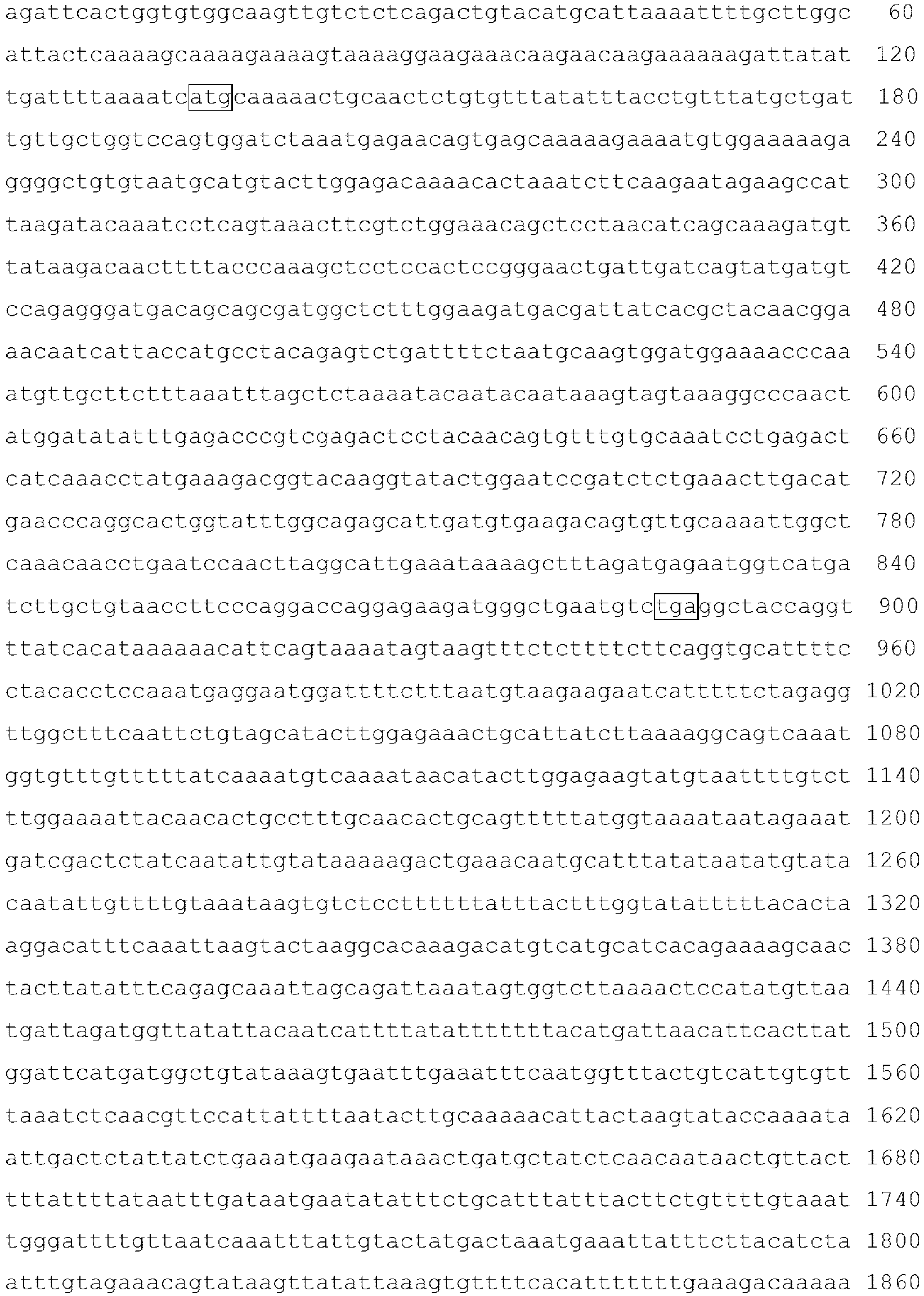 Figure imgb0004