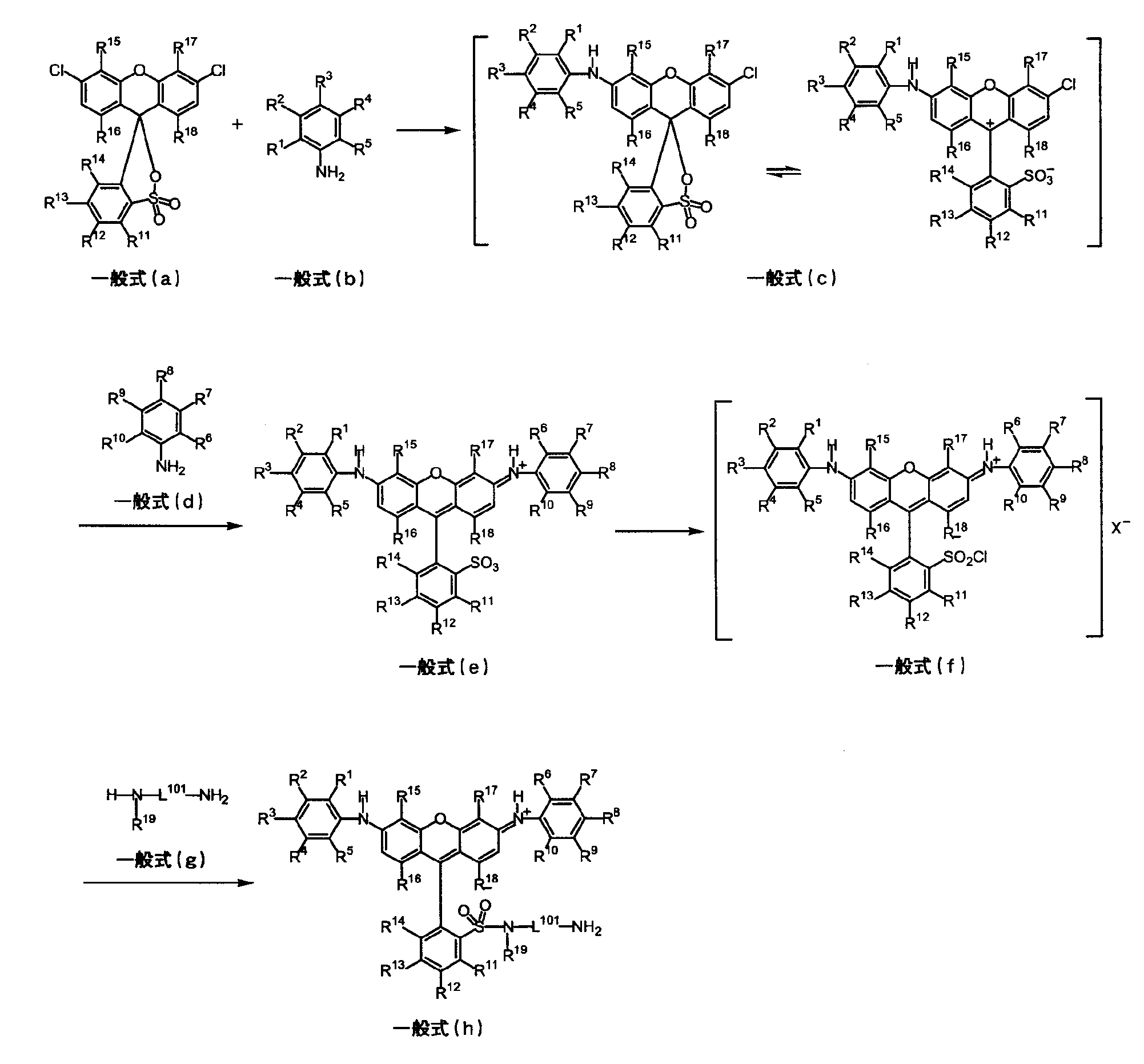 Figure JPOXMLDOC01-appb-C000053