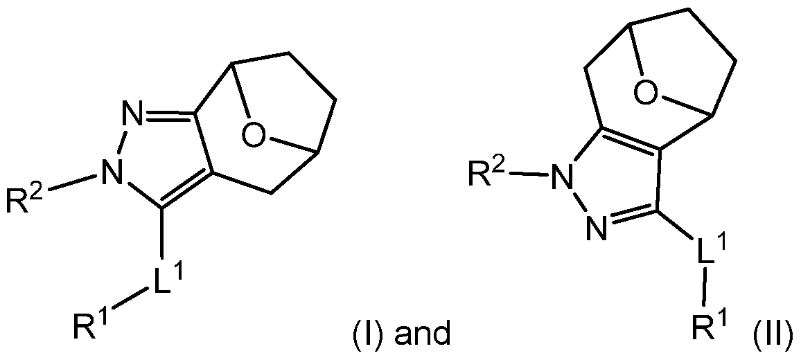 Figure imgf000007_0001