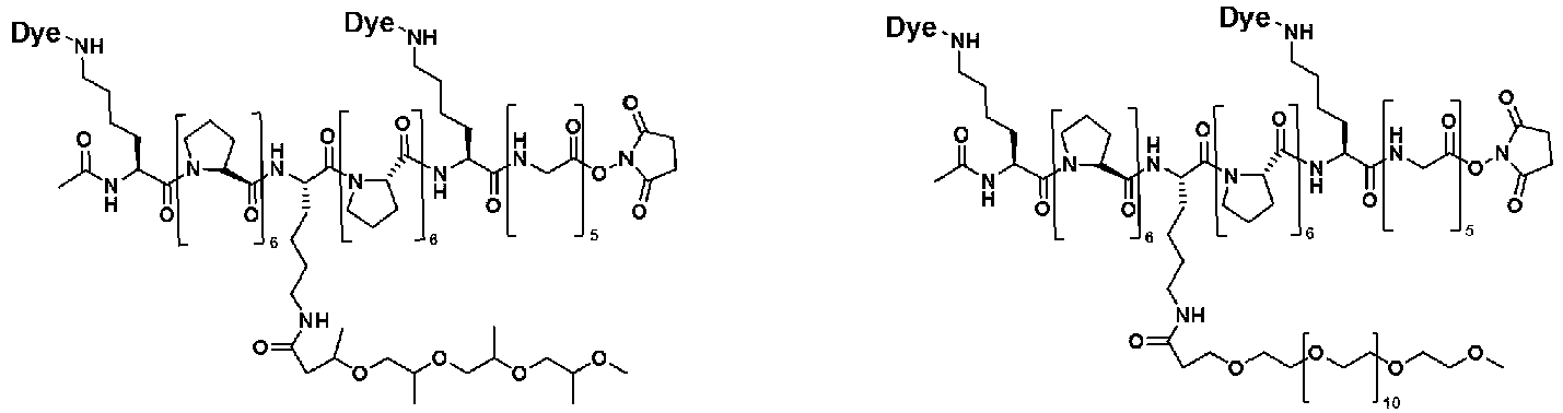 Figure imgb0035