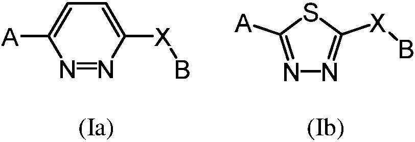 Figure pct00687