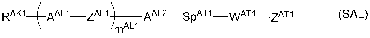 Figure JPOXMLDOC01-appb-C000027