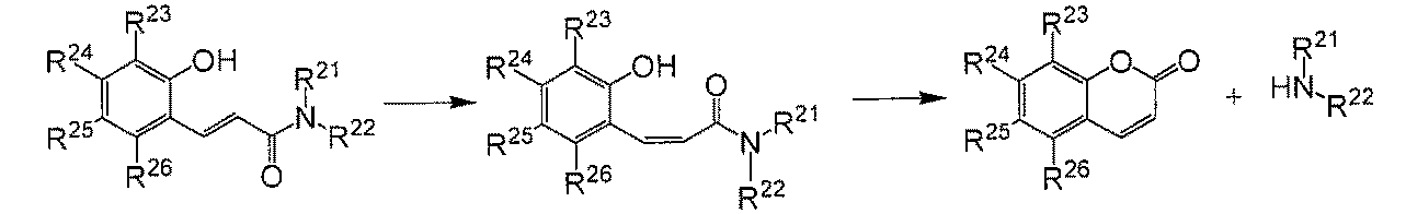 Figure JPOXMLDOC01-appb-C000020