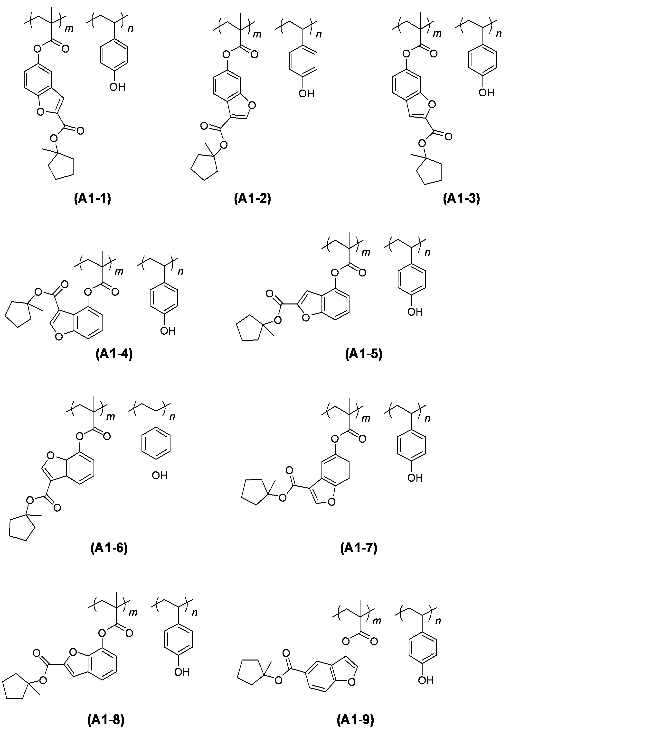Figure JPOXMLDOC01-appb-C000110