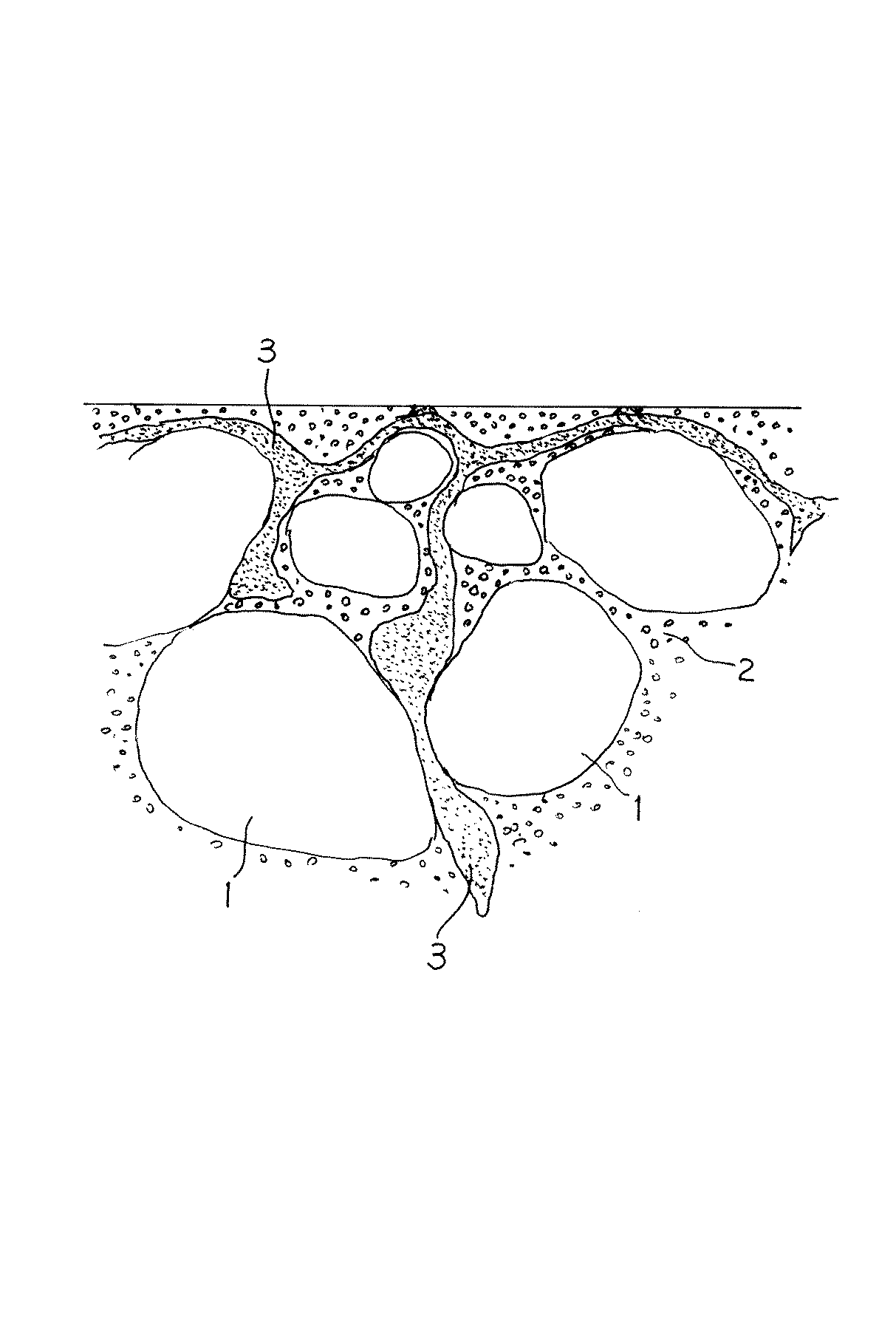 Figure 0004292467