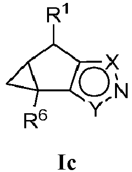 Figure imgb0096