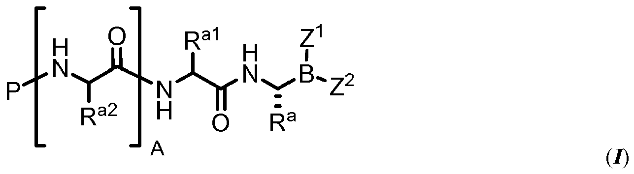 Figure imgb0050