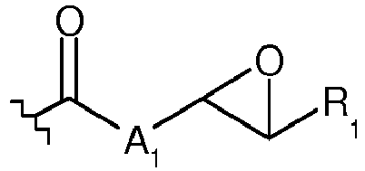 Figure imgb0029